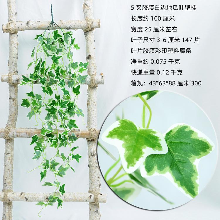 5叉胶膜白边地瓜叶叶壁挂