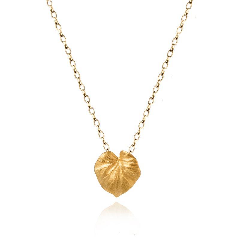 微信图片_20221206094954_1