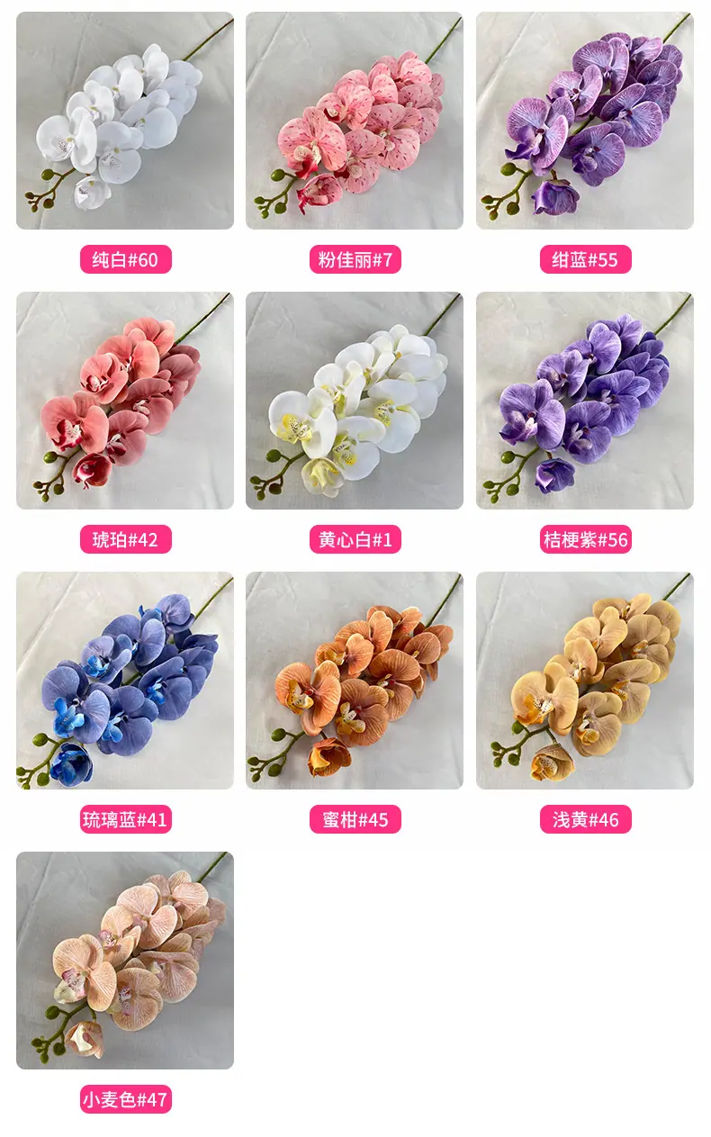 产品颜色.jpg