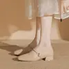 Zapatos Mary Jane Qipao Francés de Piel Suave para Mujer 2026 Otoño Nuevo Estilo Punta Cuadrada Tacón Grueso Nuevo Estilo Hada China Zapatos de Noche para Mujer