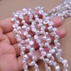 Pétalos de agujero de Panax notoginseng keshi perla de agua dulce natural collar DIY cadena de clavícula productos semiacabados material de accesorios