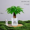 Árvore da Fortuna Plantada em Vaso Desktop Planta Criativa Enfeites Florais de Escritório e Plantas Verdes Coco Rico Funcho Pequeno Bonsai