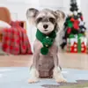 Ropa Nueva de Otoño e Invierno para Gatos y Perros, Bufandas para Mascotas, Collares, Baberos Navideños, Accesorios, Baberos, Sombreros para Gatos y Cachorros