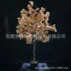 Árbol de Simulación Árbol del Dinero Bonsái Árbol Falso Bonsái Árbol de la Suerte Planta de Simulación Decoración de Interiores Planta Verde Fábrica Outlet