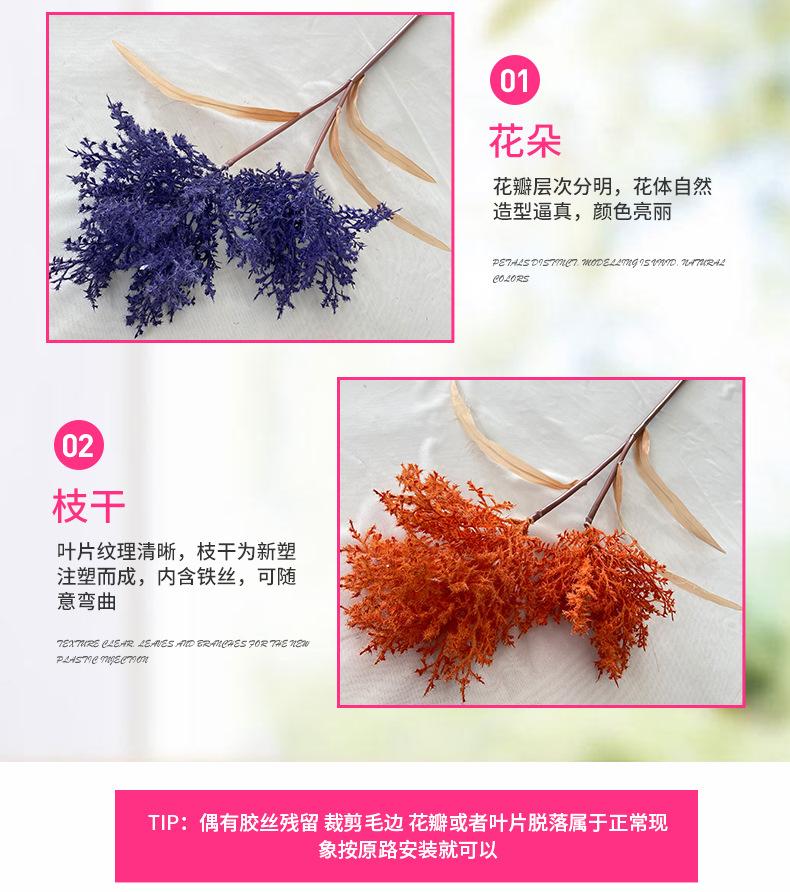 产品细节2-最终.jpg