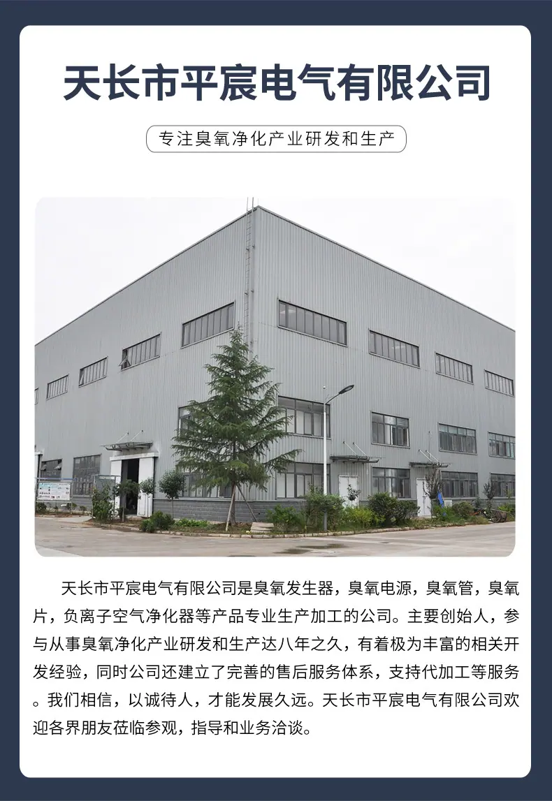 天长市平宸电气有限公司-模板_15