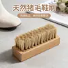 Escova de sapato, escova quadrada de madeira de faia com cerdas múltiplas especializada, escova de limpeza de sapato branca, em estoque da fábrica física