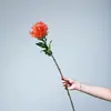 Flores Artificiais para Adereços de Fotografia, Arranjos de Flores, Casamento e Decoração de Casa: Crisântemo, Áster, Asteraceae, Crisântemo Garra de Caranguejo