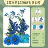 Separador de flores secas para niños, traje grande de color, paquete de materiales de plástico DIY, espécimen de hoja de planta, película de plástico transparente
