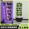 Caixa de Cultivo Aeropônico Varanda Cultivo Sem Solo Máquina de Plantio de Vegetais Equipamento Hidropônico para Jardinagem Caseira Vegetais e Frutas Uso Familiar