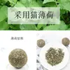 Comida masticable para mascotas Bocadillos para gatos Bolas de menta para gatos En stock Venta al por mayor Bolas de hierba Hartley Bolas de menta para gatos 6