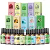 Óleo Essencial de Aromaterapia Solúvel em Óleo 10ml Fragrância de Longa Duração Máquina de Aromaterapia Difusor de Óleo Essencial Difusor de Pedra Madeira Vela de Óleo Essencial DIY