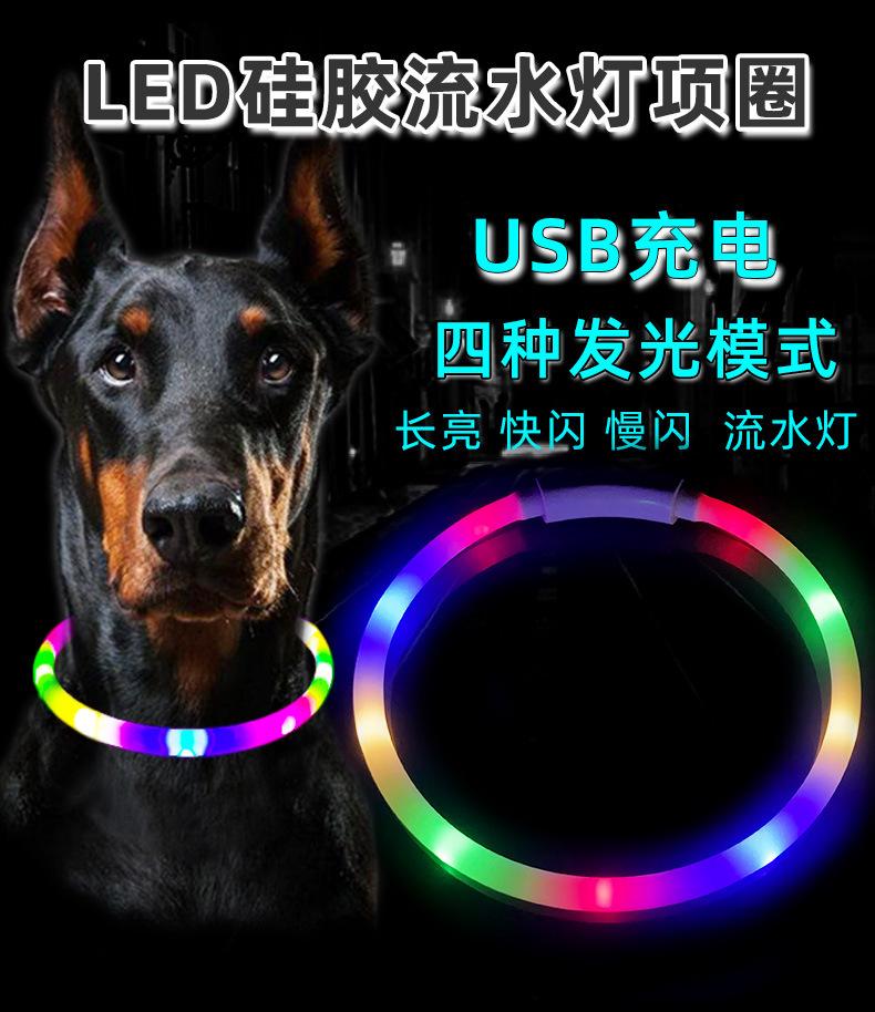 发光项圈