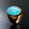 R0021-HK03 Anillo Retro Elegante de Acero de Titanio con Gema para Hombres y Mujeres Anillo de Joyería Simple de Moda Retro Anillo