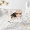 A Fábrica de Artesanato Zhongkun vende espécimes de insetos genuínos como itens decorativos, embutidos em resina de alta transparência, como brinquedos científicos educativos para crianças.