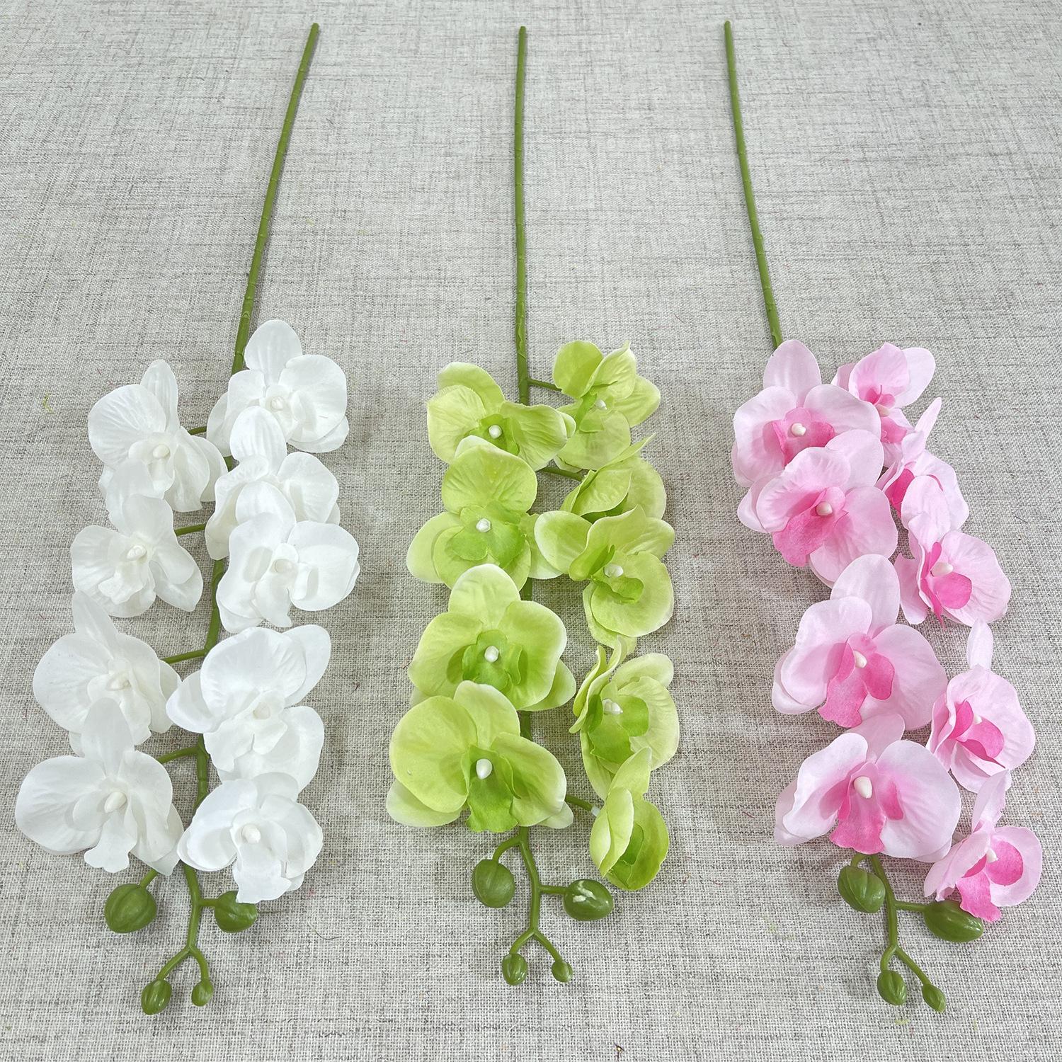 主图 婚庆花饰 色卡 9头平价蝴蝶兰-sxlwdx-.JPG