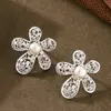 Aretes de Perla de Agua Dulce Natural con Tallado Hueco, Brillantes, con Pedrería de Circonita, Estilo Hada, Temperamento Suave Francés, Arete de Alto Nivel
