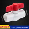 Válvula de Bola Ppr Golden Ox 1/2 Pulgada (4 puntos) Válvula de Cierre de 20 mm con Rosca Interna Núcleo de Acero Válvula Termofusionable de 3/4 de Pulgada (25 mm) Accesorios para Tubería de Agua de Doble Unión 32mm