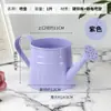 Cubo de Riego para Ducha del Fabricante, Regadera, Maceta Pequeña de Metal Resistente a la Corrosión, Decoración de Escritorio, Riego de Plantas
