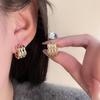 Otoño e Invierno 2023 Nuevos Pendientes Pendientes Mujer Sensación de Alta Gama Elegante Socialité Lujo Ligero Nicho Estilo Pequeño Joyería