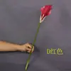 Lirios de cala artificiales de EVA para fotografía de bodas, decoración del hogar, fotografía, flores de tacto realista, flores artificiales, venta al por mayor de fabricantes transfronterizos