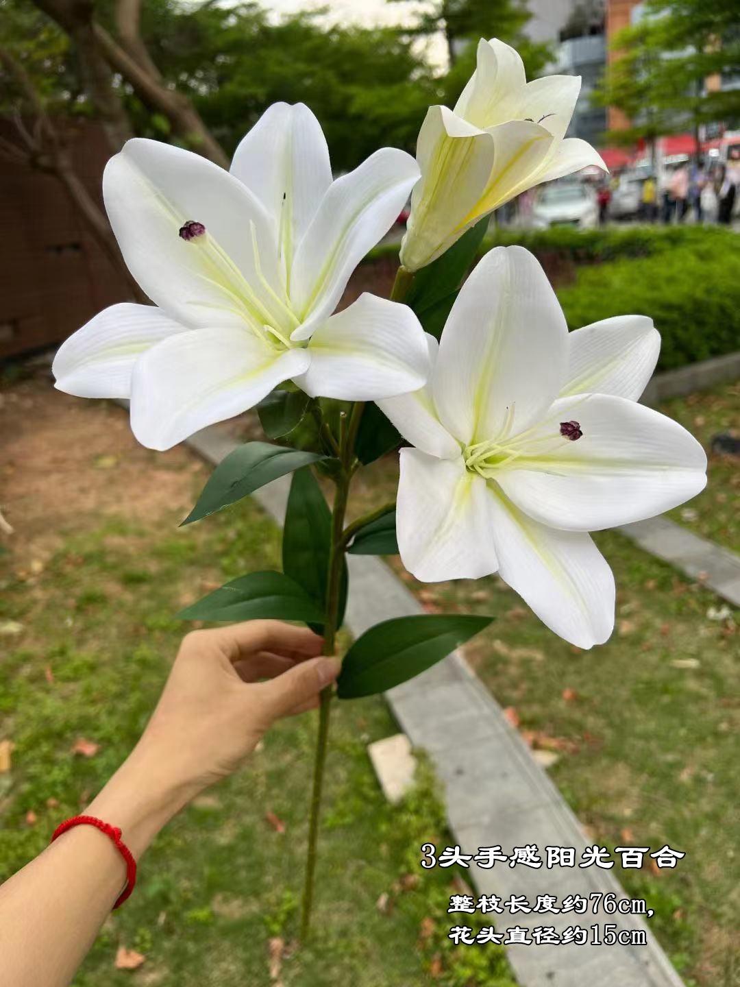 微信图片_20220612105917.jpg