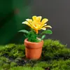Novo 3-5cm simulação vaso planta atacado mini planta modelo acabado redondo arte paisagem micro paisagem ornamentos