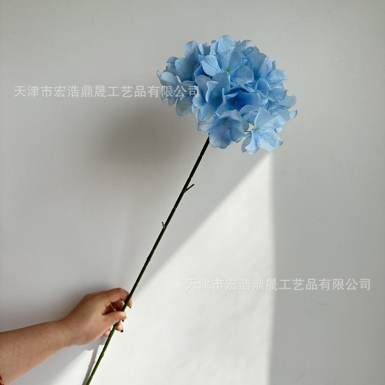 微信图片_202303081754097_副本