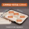 5Zw Lonchera Desechable con Tres, Cuatro y Cinco Compartimentos, Lonchera de Pulpa, Caja de Embalaje para Llevar Comida Ligera, Caja para Ensalada Ecológica y Biodegradable
