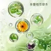 Água Floral de Losna 195ml Spray Líquido Refrescante de Verão Uso Geral Doméstico Externo Fabricante Atacado Água Floral