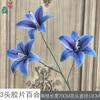 26 Anos de Materiais Florais Azul Escuro de Alta Qualidade, Materiais de Flores de Seda para Vitrines, Paisagismo, Adereços para Estúdio de Fotografia, Flores Artificiais
