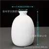 Vaso Cerâmico, Pequeno e Fresco, Cerâmica Hidropônica, Branco Simples, Estilo Nórdico Moderno, Ornamento de Decoração para Sala de Estar