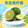 Sichuan Anyue Limão Verde Dropshipping Pacote de 1/2/3/ 2,5kg de 60g + Ingredientes para Chá de Leite Fruta Fresca Ácida e Refrescante