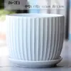 Maceta de Cerámica Tamaño Grande Oferta Especial Liquidación Interior Escritorio Balcón Suculenta Maceta Pequeña Clorofito Helecho Espárrago Maceta Simple Blanca