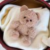 Nova Boneca Urso de Pelúcia Cacheada Chaveiro Urso Pingente Acessórios para Capa de Celular Acessórios para Bolsa Boneca Boneca