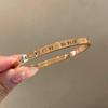 Pulsera de Acero de Titanio con Zirconia de Cintura Pequeña Oro Rosa para Mujer Pulsera de Moda Nicho de Lujo Ligero Pulsera Pulsera de Alta Gama Pulsera