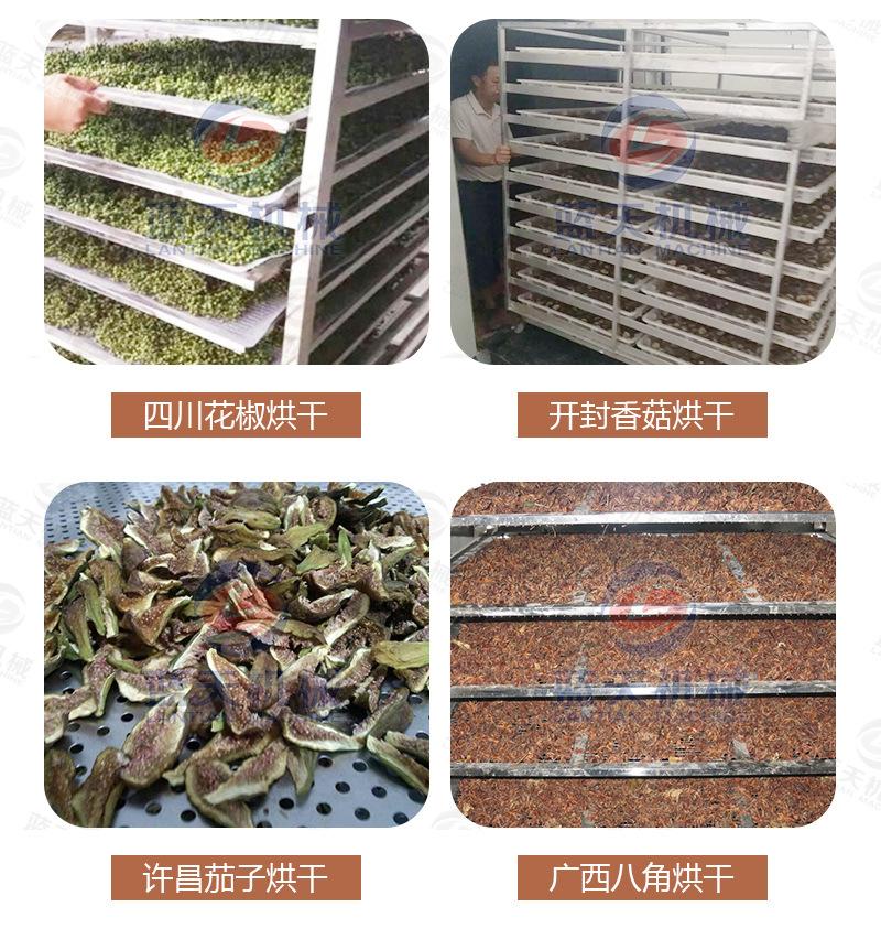 板蓝根烘干机_24.jpg