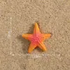 Micro-paisagem Criativa Realista Estrela-do-mar Colorida Aquário Marinho Paisagismo DIY Acessórios Decorativos Eco-garrafa Pequenos Enfeites