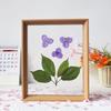 Nuevo Marco de Fotos Transparente de Doble Cara Estilo Chino con Marco para Espécimen de Hoja de Planta Prensada Hueca, Regalo del Día de la Madre