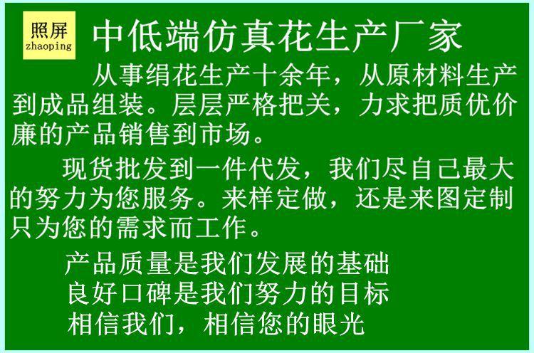 公司介绍.jpg