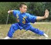 Uniforme de Artes Marciais Dragão Yin-Yang Tai Chi Dragão Bordado Unissex Manga Comprida e Curta Competição de Desempenho em Grupo Traje de Desempenho Tai Chi