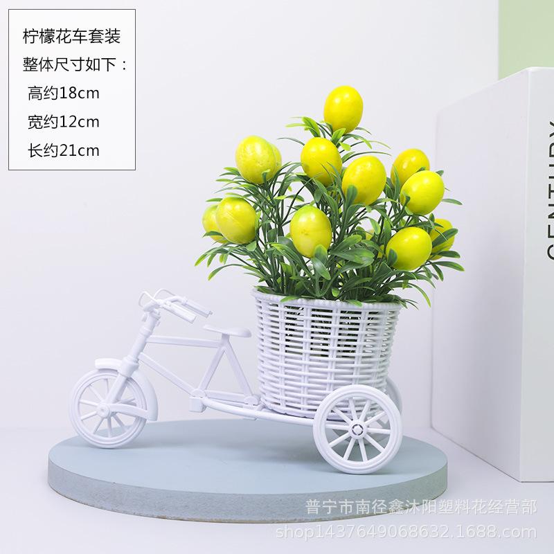 3D1A5500.jpg