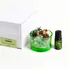 Taza de Vidrio Aromaterapia Aceite Esencial Regalo Creativo para Dormitorio, Aromaterapia sin Llama para una Sensación de Dormitorio de Alta Gama