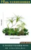 Flores Artificiais Plantas Verdes Conjunto de Divisória Decorativa Flores de Plástico e Seda Decoração de Paisagismo Arranjo de Paisagem Exibição de Janela Interna