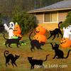 Placa de Sinalização Transfronteiriça Nova para Halloween com Silhueta de Gato Preto para Decoração de Quintal, Gramado e Jardim para Halloween