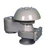 Válvula de respiro anti-congelamento para todos os climas em flange de aço fundido aço inoxidável QHXF-2000 DN20 25 32 40 50 65