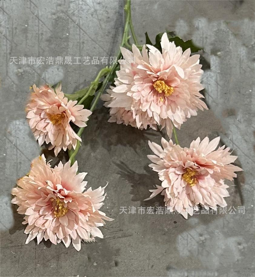 微信图片_20230723132443(3)