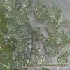 Nova edição Starry Sky Ice transparente Aurora Green Pure sem série branca atacado em estoque grande quantidade Congyou Diy mão