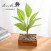 Flor Falsa Planta Verde Artificial Folha Simulação Enfeites Internos Criativos em Vaso Simulação Flor Decoração Interior Simulação Planta