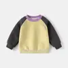 Sudadera Exterior para Niños con Bloques de Color, Top Sencillo, Versátil para Primavera, Nuevo Estilo en Ropa Infantil, Chaqueta para Niños Pequeños, Venta al por Mayor de Primavera